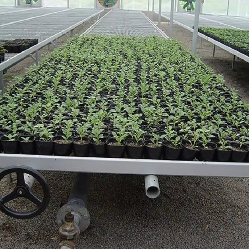 Flood Tray Table - Meja Propagasi Bergerak Sistem Banjir dan