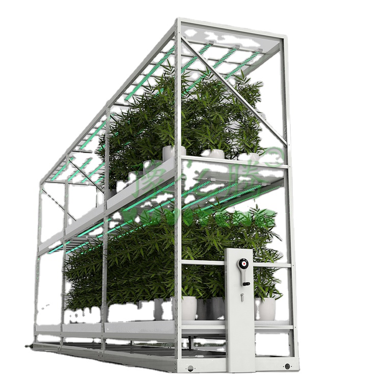 Meja Tanam Mikrogreen Ebb Flow - Flood Tray Table ulasan dan harga