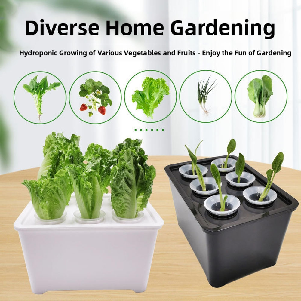 Kit Ember Tanaman Putih Hitam  - Urban Farming Usa ulasan dan harga