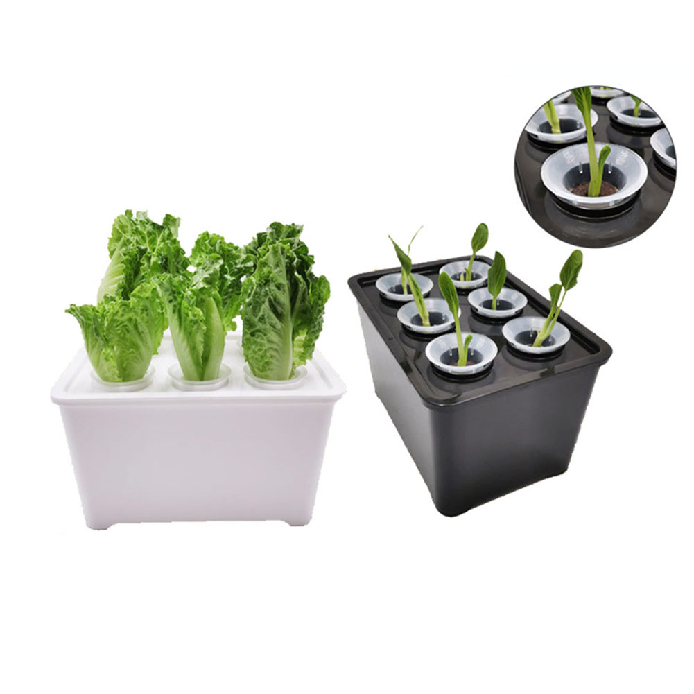 Kit Ember Tanaman Putih Hitam  - Urban Farming Usa ulasan dan harga