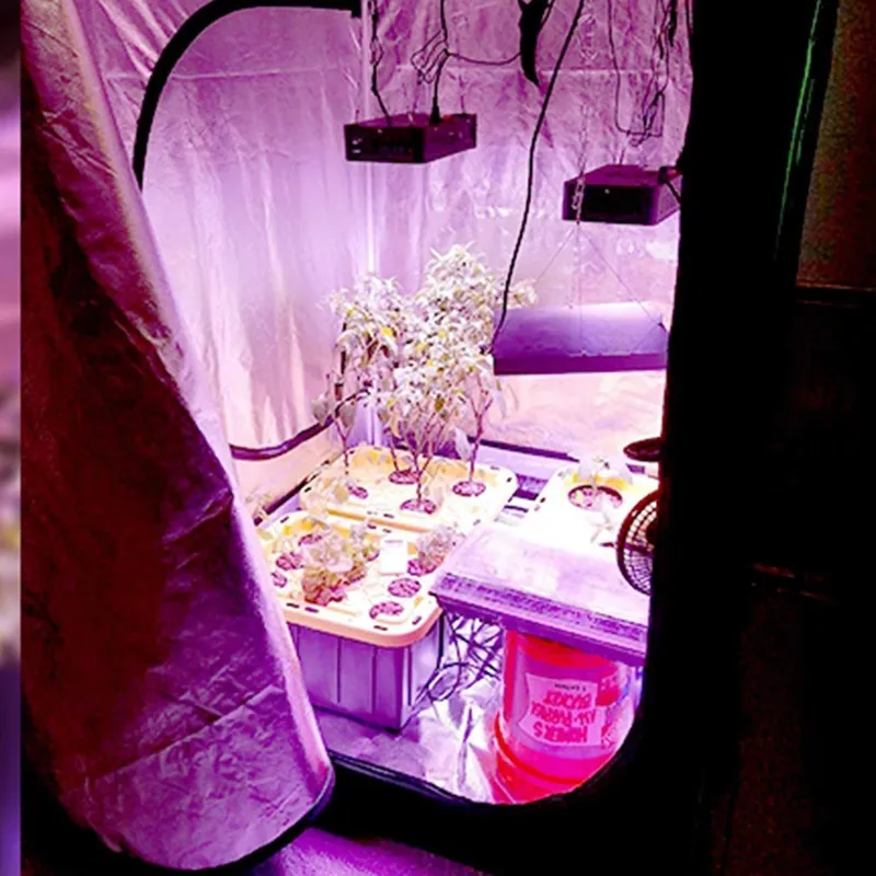 Tenda Tanam Indoor Tren Terbar - Grow Tent 4X4 ulasan dan harga