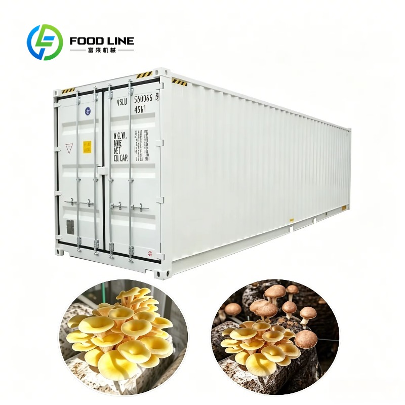 Pertanian Kontainer Hidroponik - Urban Farming Indoor ulasan dan harga