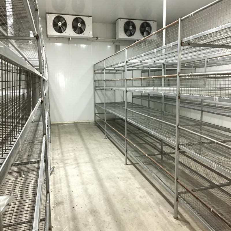 Pertanian Kontainer Hidroponik - Urban Farming Indoor ulasan dan harga