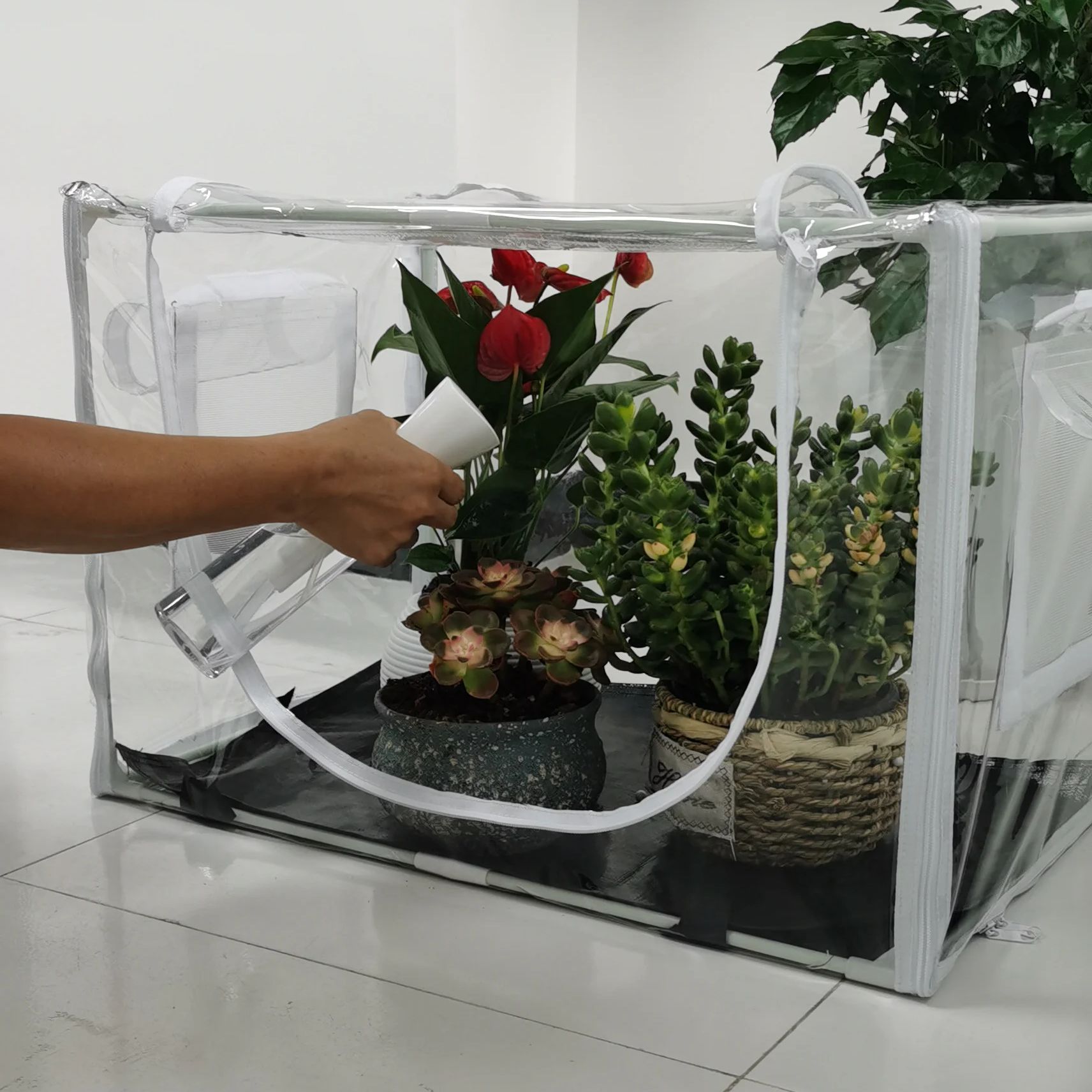 Rumah Kaca Kompak untuk Tanama - Grow Tent 4X4 ulasan dan harga